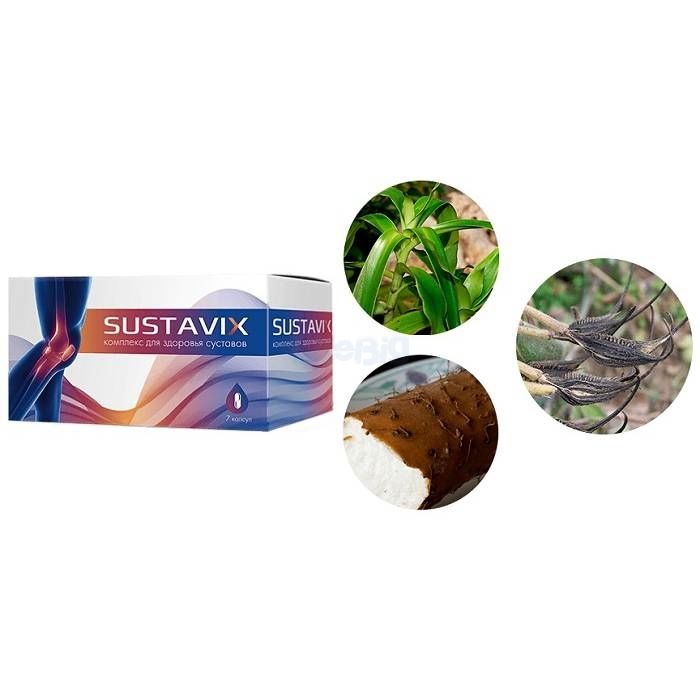 Sustavix ▸ complex for joint health ▸ In Russia